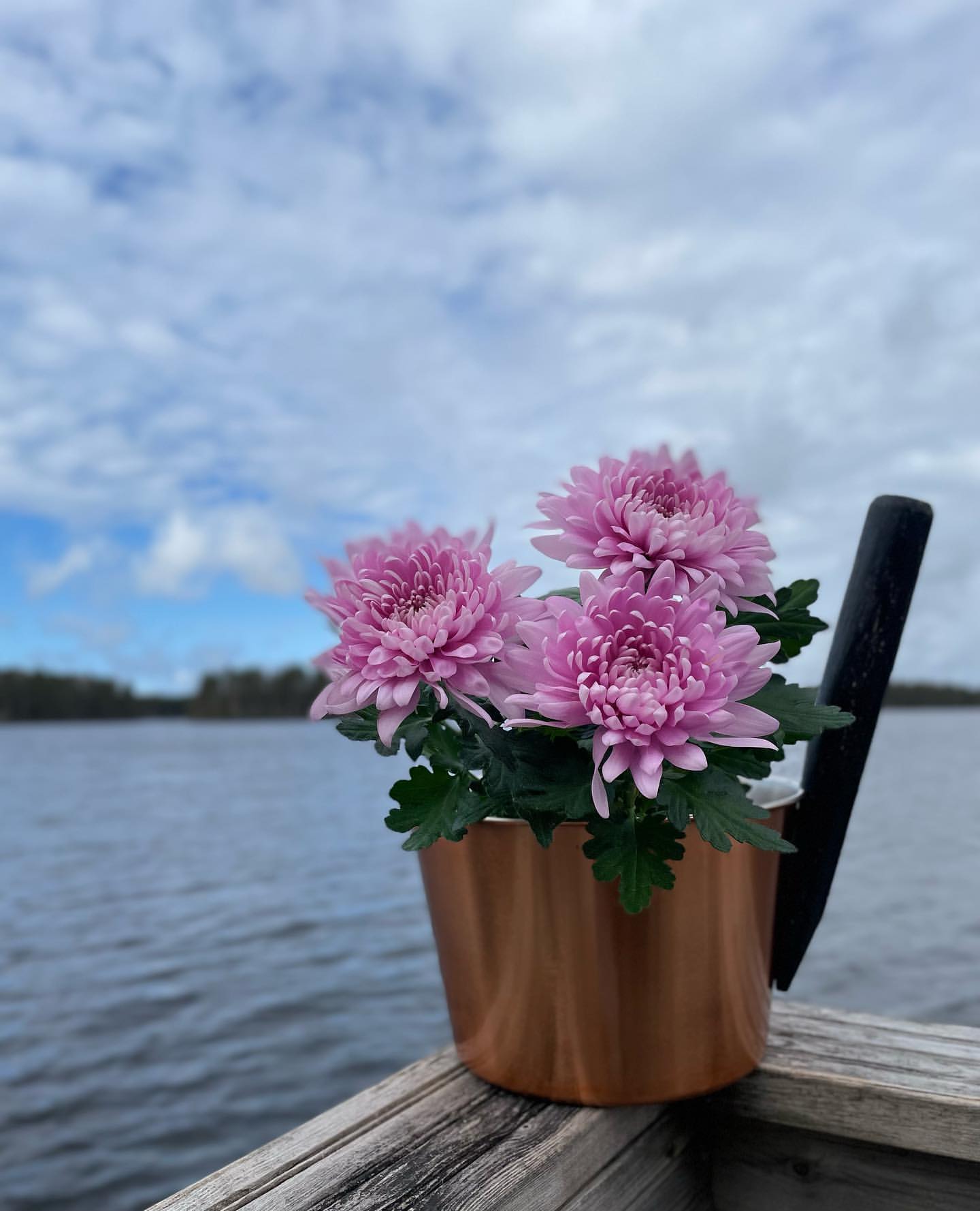 92102927 サウナバケツ 10292 ステンレス製